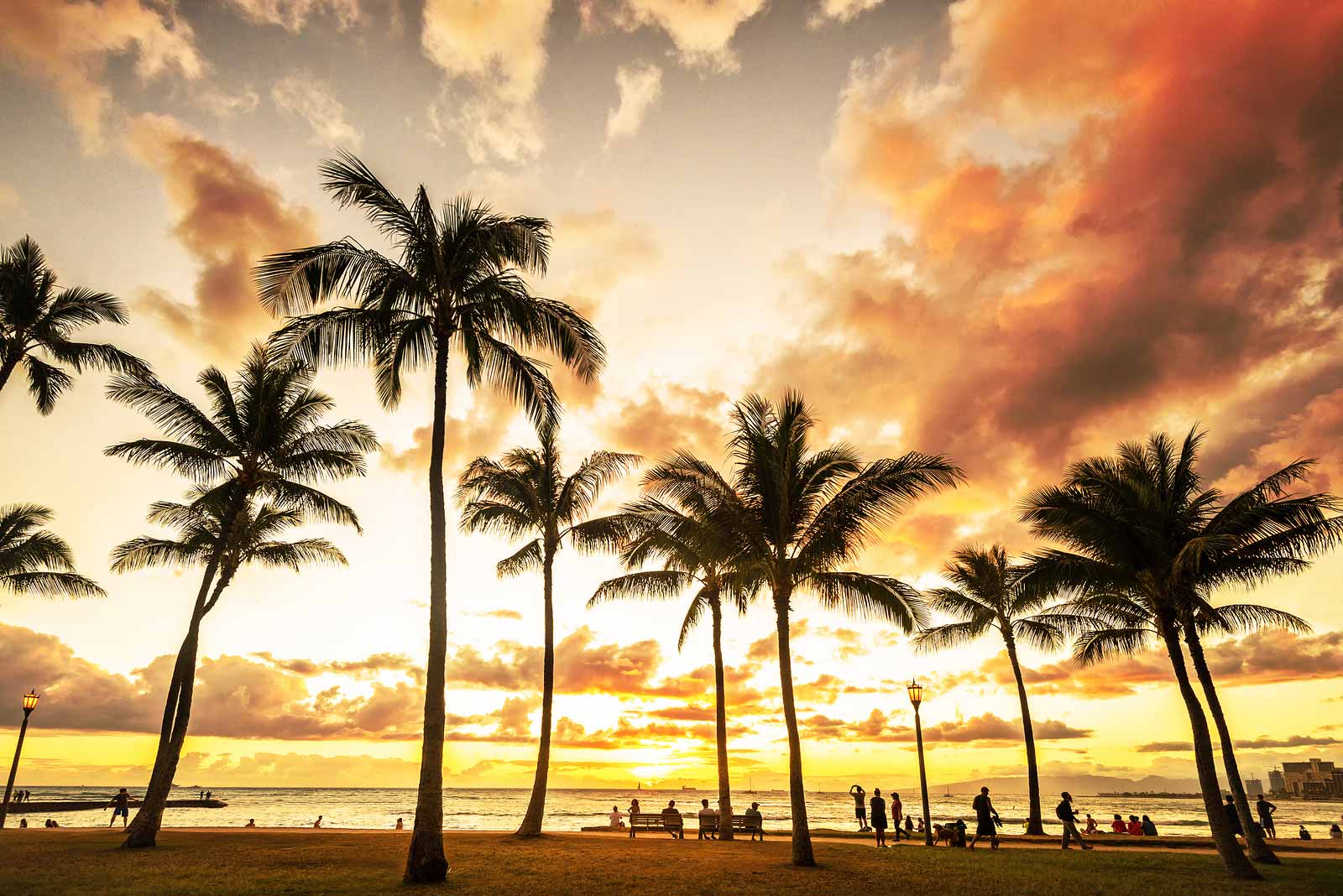 Explore Honolulu Beaches in a Rental Car